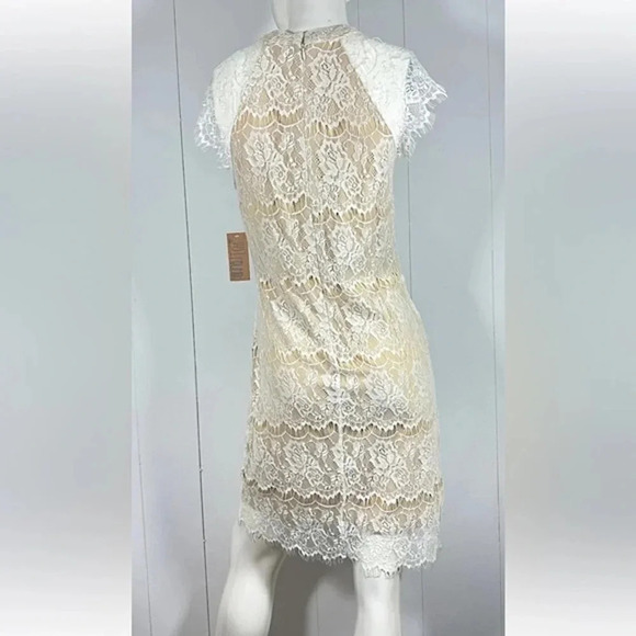 NWT Just Found Lined Laced Dress Tan Sleeveless Zip Back A-Line formal - Picture 5 of 8